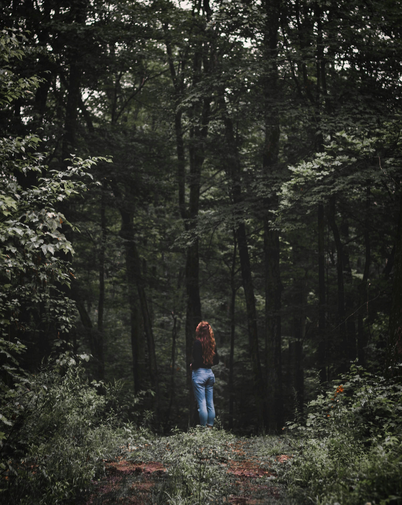 Can a Walk in the Forest Really Boost Your Immune System?