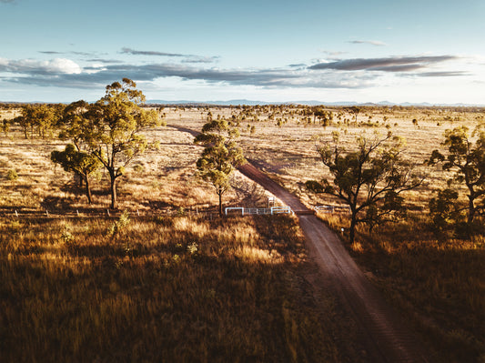 Australian Stories: Grain Farmer Matilda Lienert