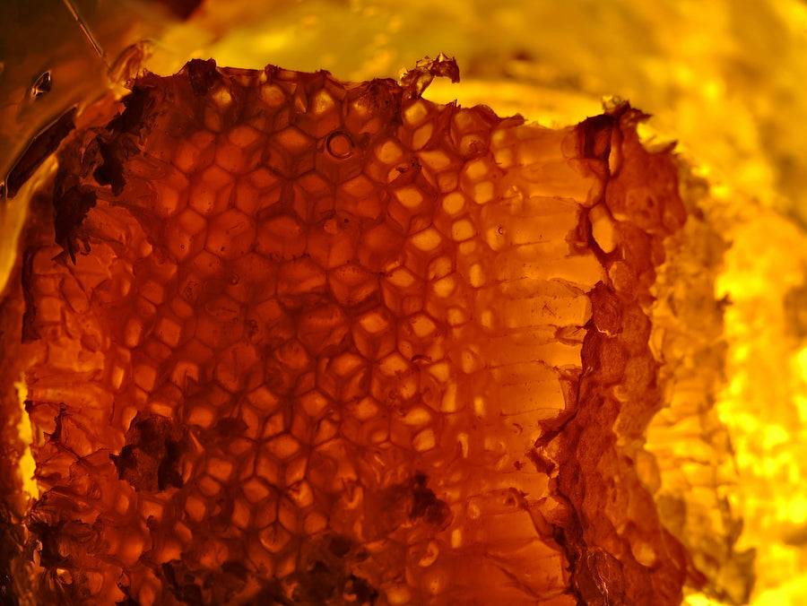 Lessons from Honey Fraud: The Tea Tree Oil Industry