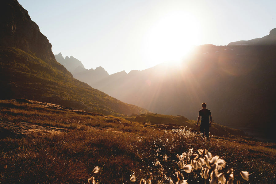 Nature Is Free Medicine So Why Don't We Treat It Like Healthcare?
