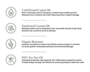 The Healthy Hair & Scalp Oil & Soft Silicone Scalp Massage Tool | Organic Rosemary & Coconut